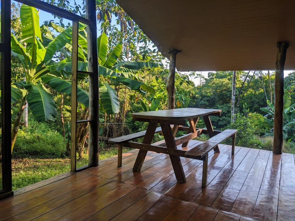 Garden, Balcony/Terrace, Dining area