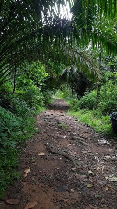 Casa Riverdale Farm Stay House in Kerala
