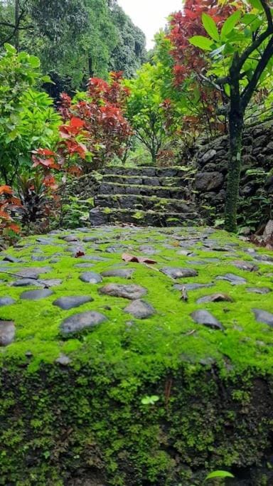 Casa Riverdale Farm Stay House in Kerala
