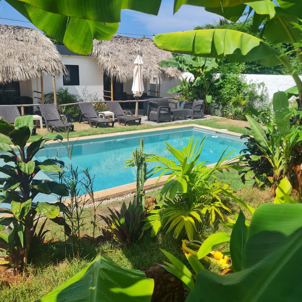 Spring, Day, Garden, Garden view, Pool view, Swimming pool, Swimming pool, sunbed