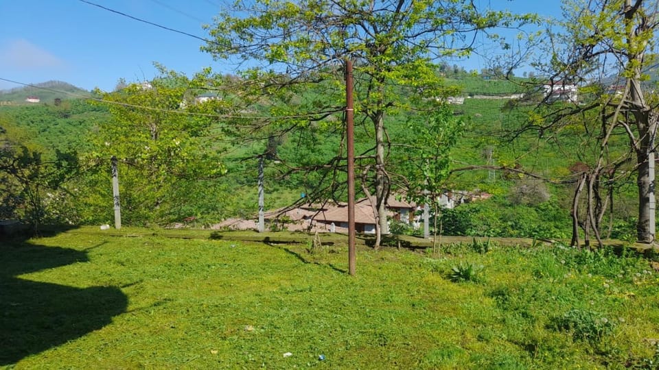 Natural landscape, Mountain view