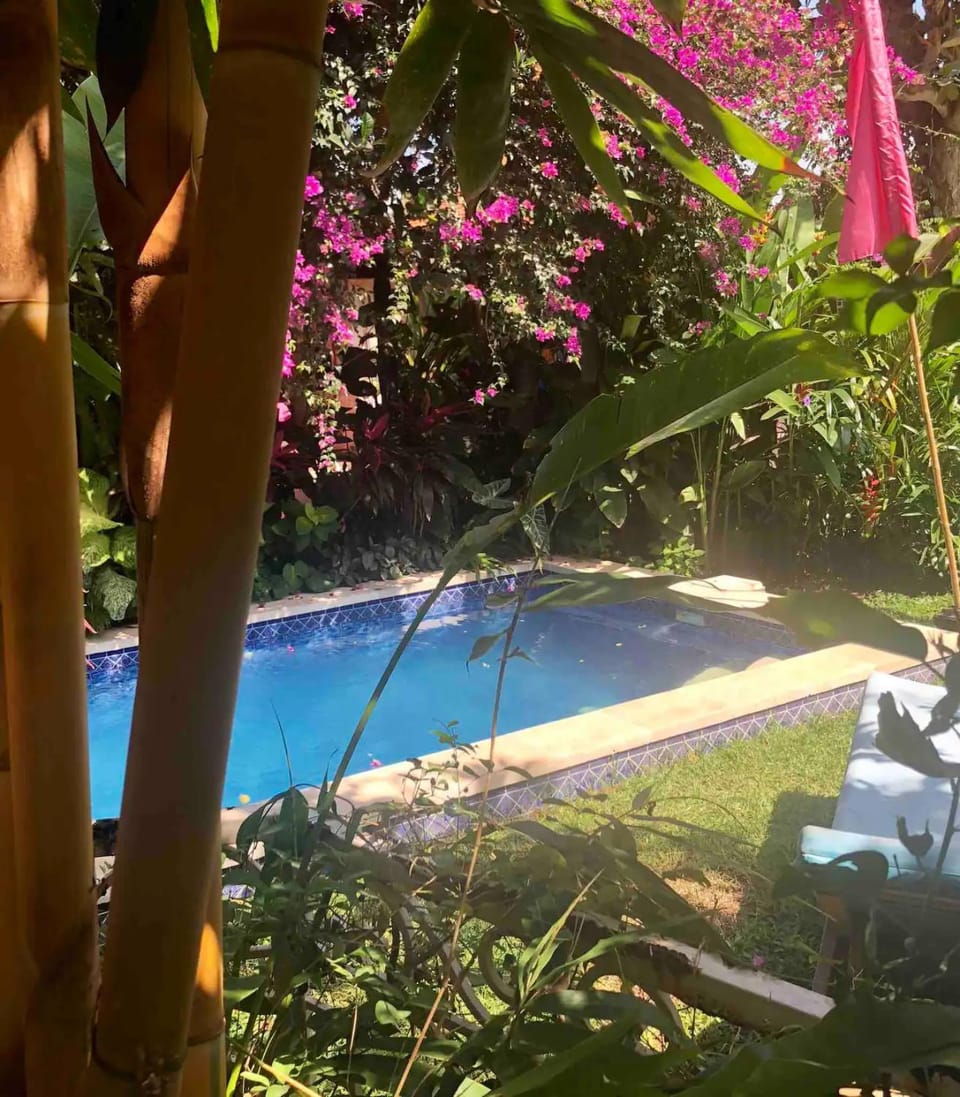 Red Palms Apartment in Blahbatuh