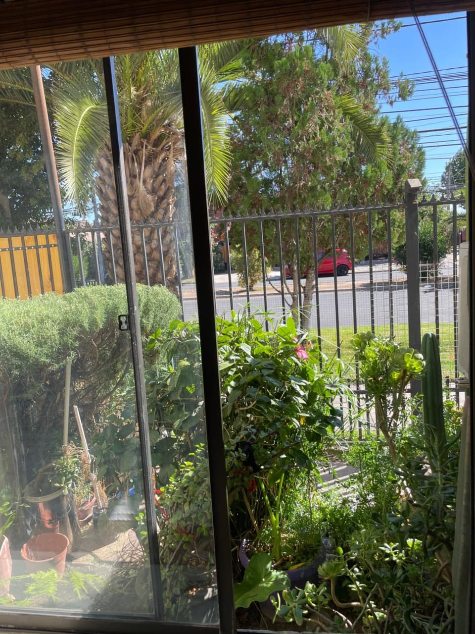 Garden, Garden view