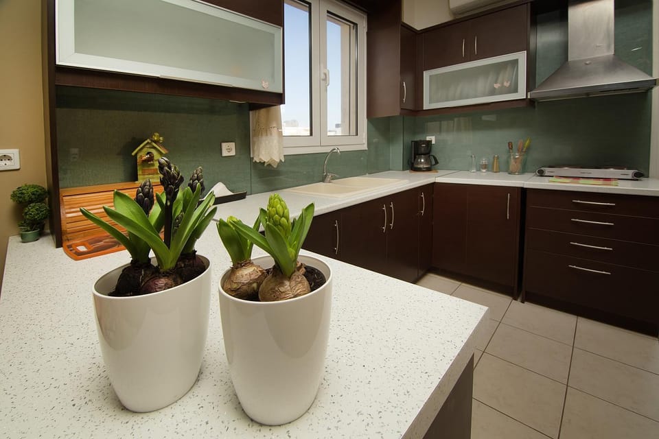Kitchen or kitchenette