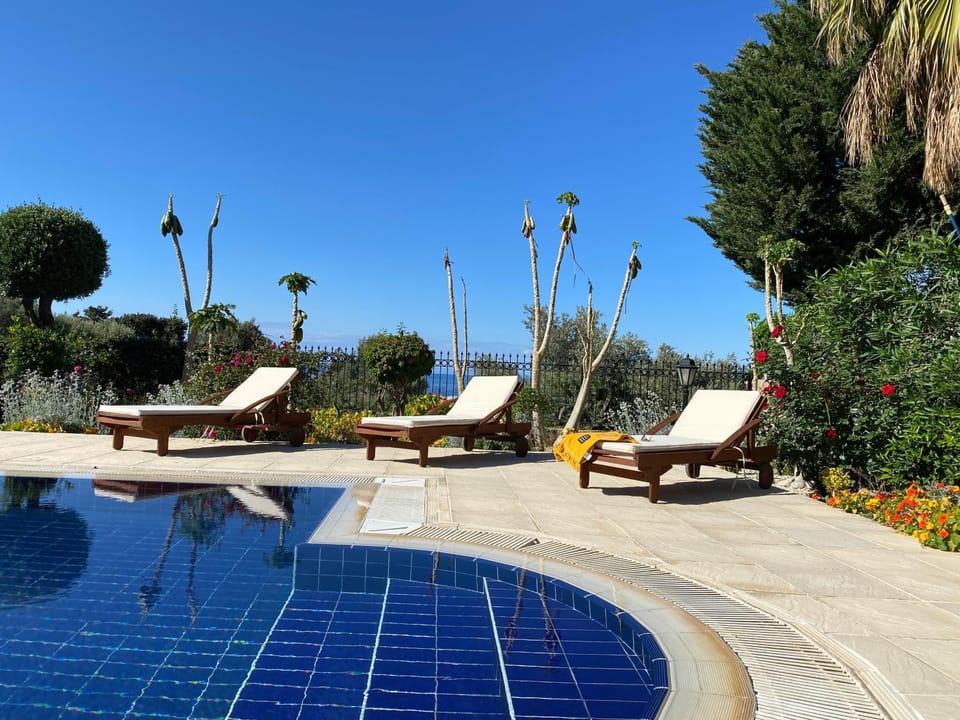 Garden, Swimming pool, sunbed
