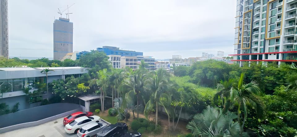 Natural landscape, City view, Garden view