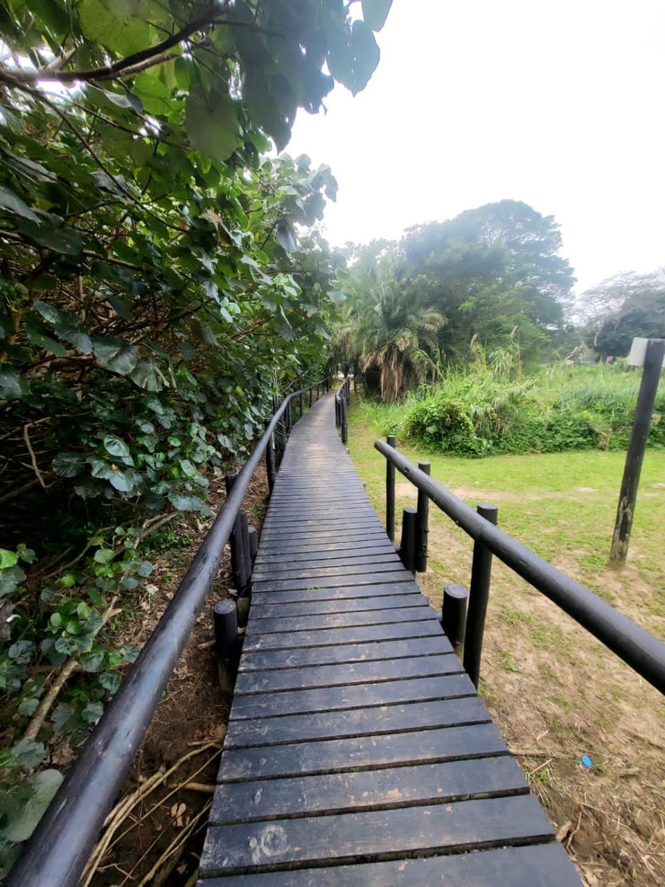 Natural landscape, Garden