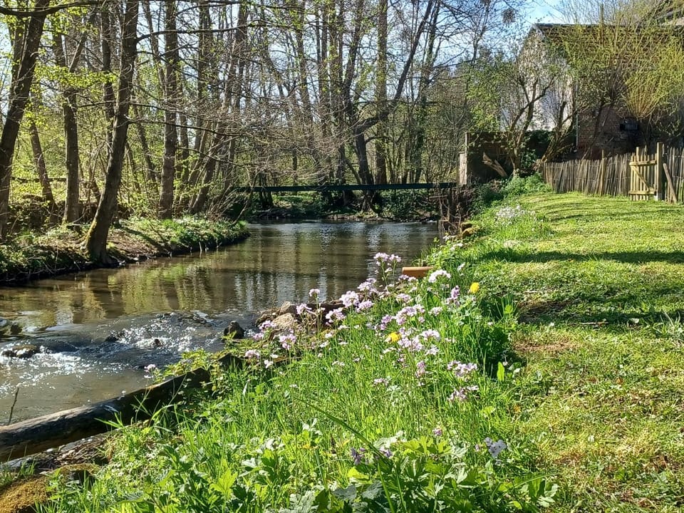 Garden, River view