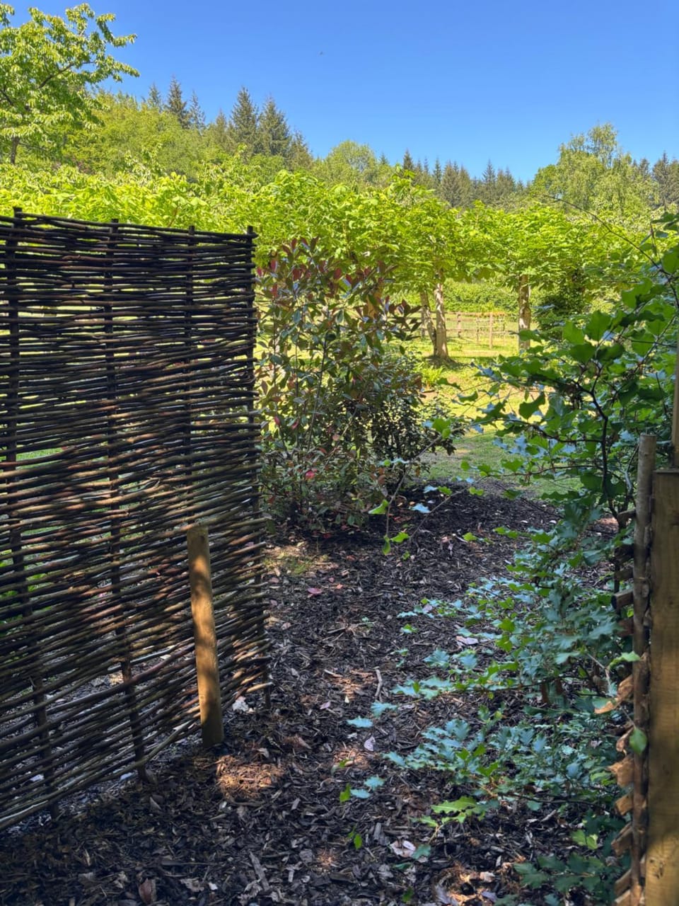 Shepherd’s delight Chalet in Tintern