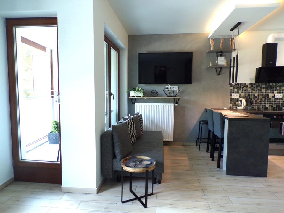 Balcony/Terrace, Kitchen or kitchenette, Living room, Seating area