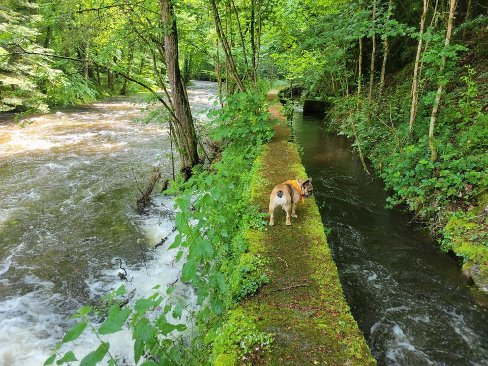 River view