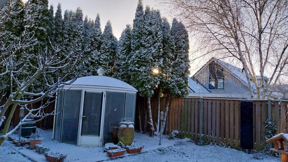 Winter, Garden view