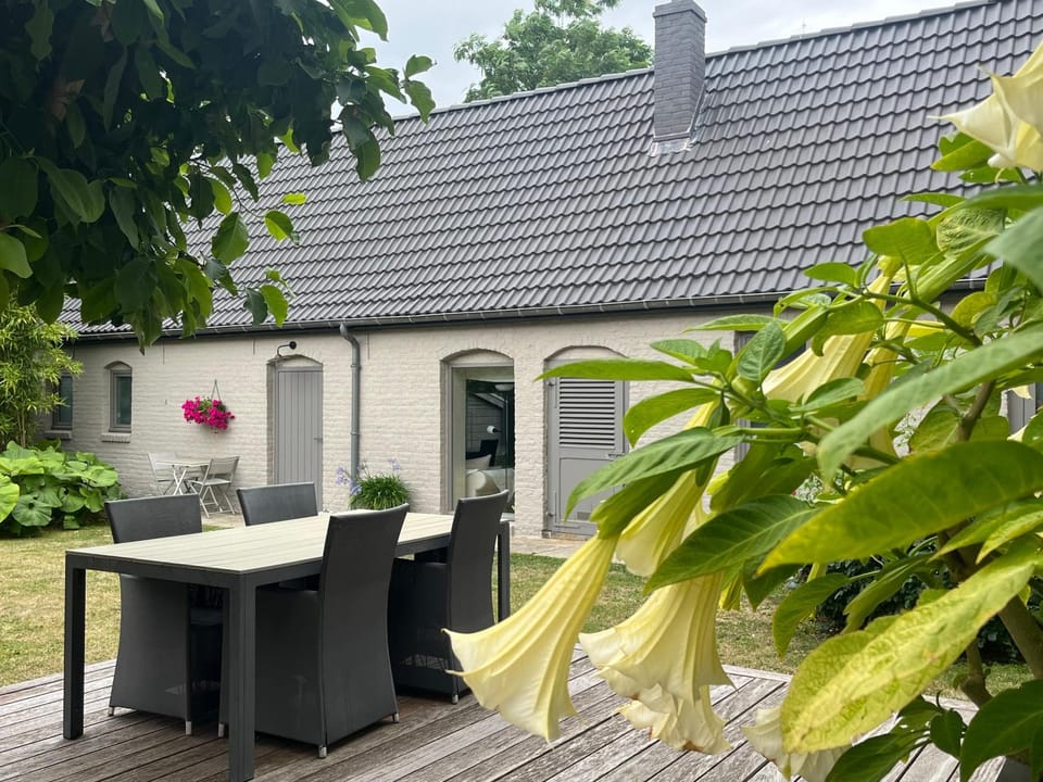 Patio, Garden