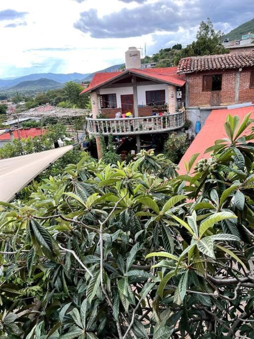 View (from property/room), Garden view, Inner courtyard view