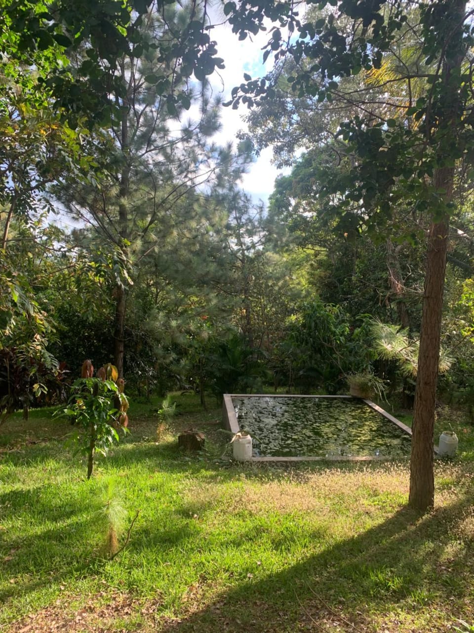 Garden, Hiking