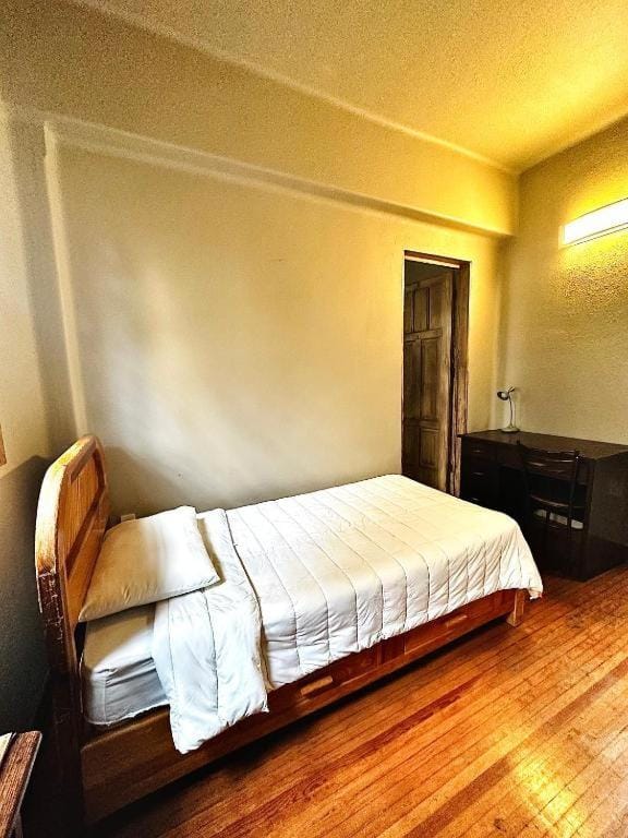 FRONTERA 49 Roma Norte Hostal Hotel in Mexico City