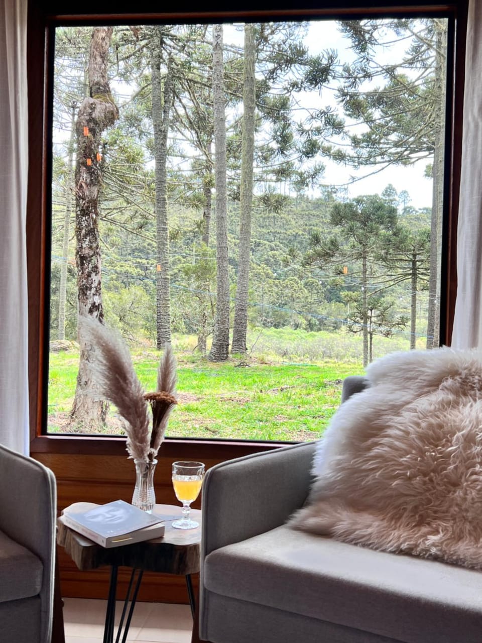 Day, Natural landscape, Seating area, Garden view