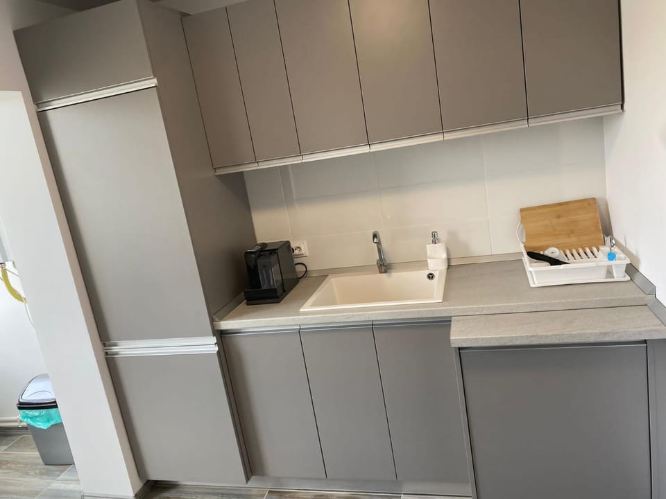 Alesandru apartament Apartment in Romania