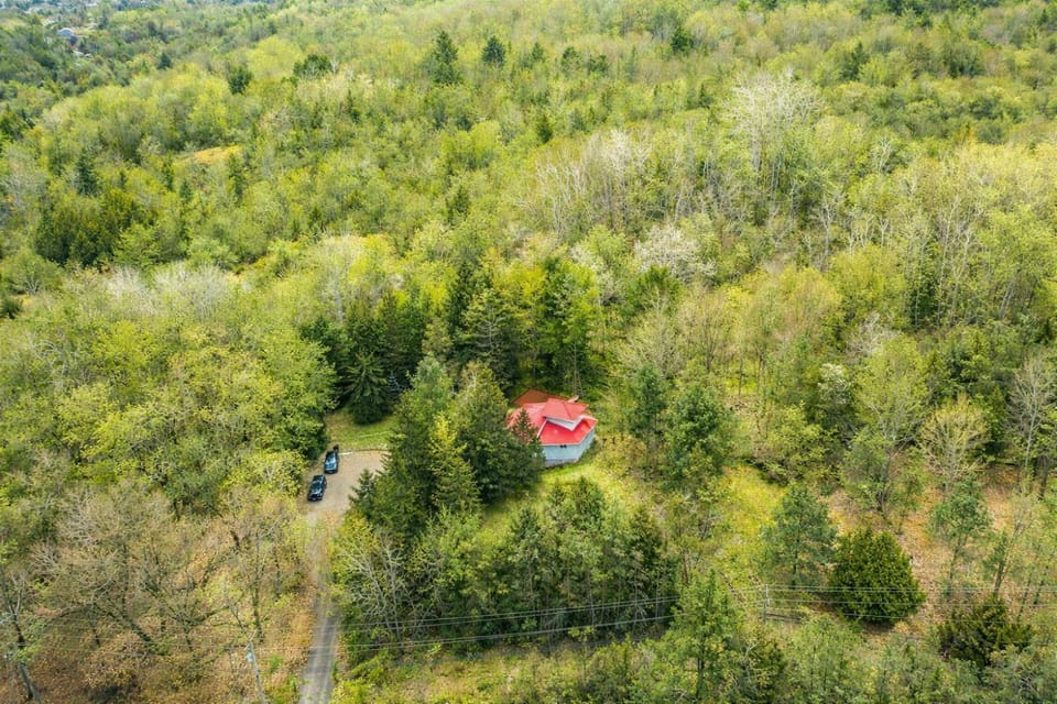 Spacious 3 Plus 1 Bedroom 2 Bath Cottage Retreat with Fire Pit and Pool Table House in New York