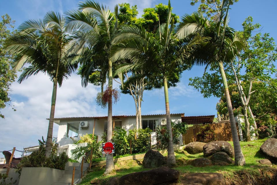 Natural landscape, Garden, Garden view