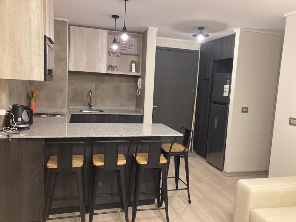 Piso11 Concepcion Apartment in Bio Bio, Chile