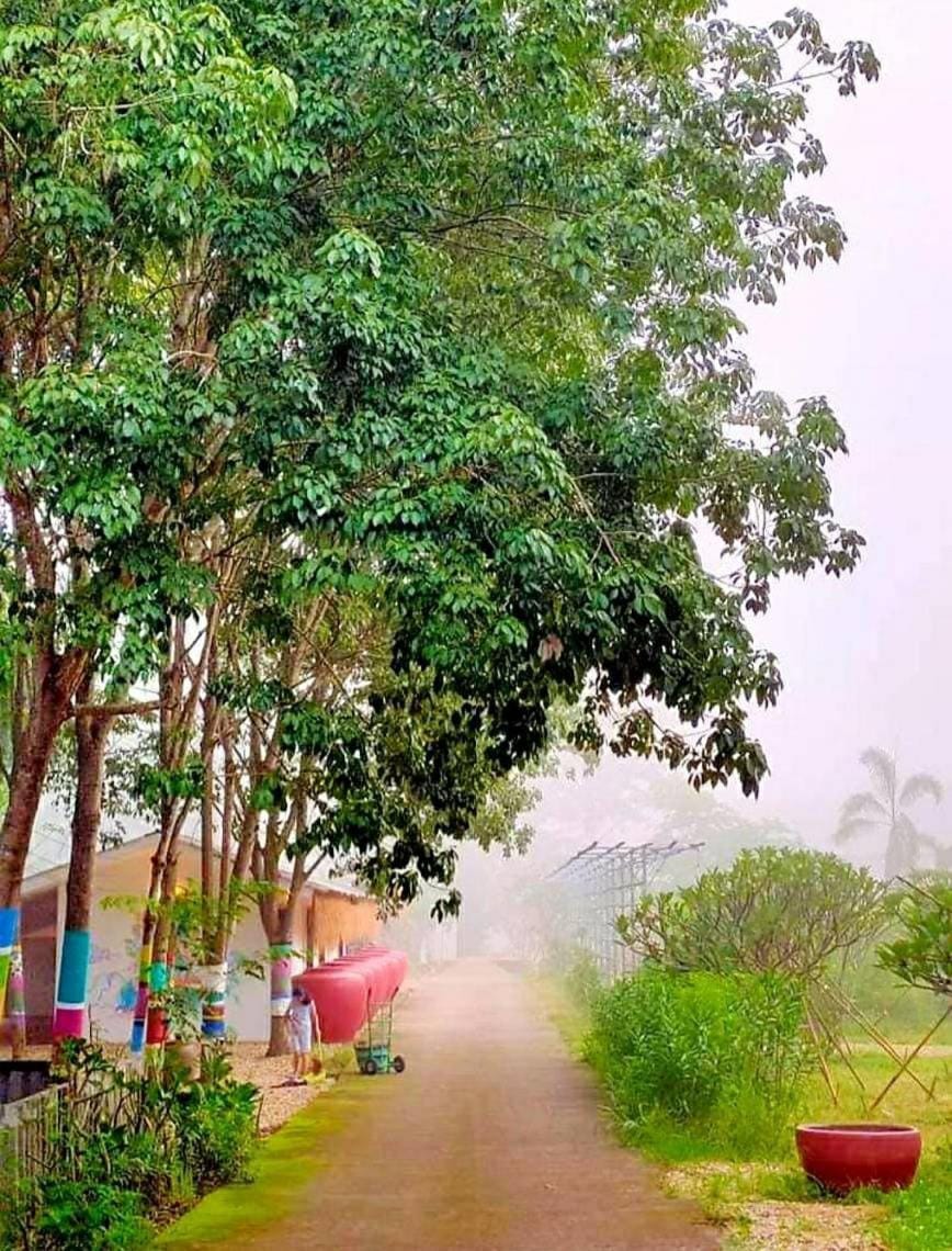 Day, Natural landscape, Garden, Garden view