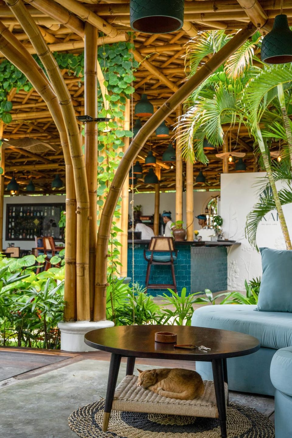 Restaurant/places to eat, Lounge or bar