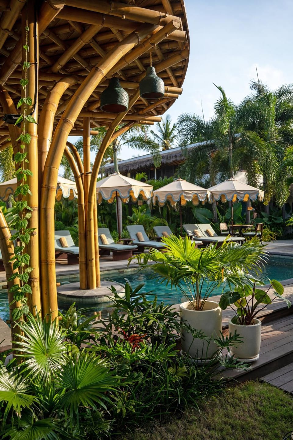 Swimming pool, sunbed