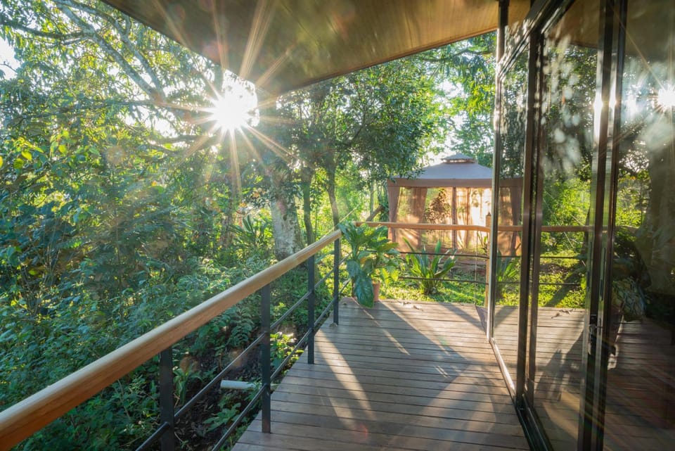 Spring, Natural landscape, Garden, View (from property/room), Balcony/Terrace, Garden view