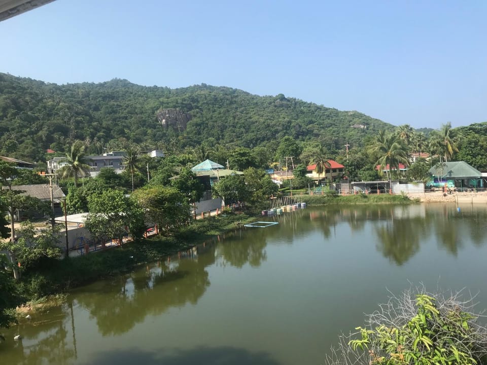 Natural landscape, Lake view