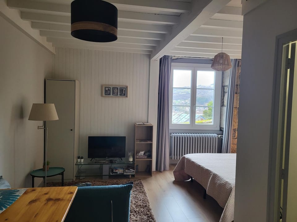 Salins-les Bains : A l'ombre de La Tour Carrée Apartment in Jura