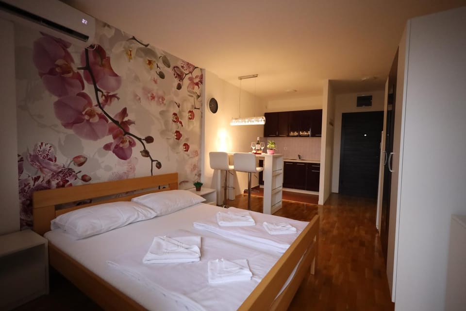 Apartman Dana Apartment in Vojvodina