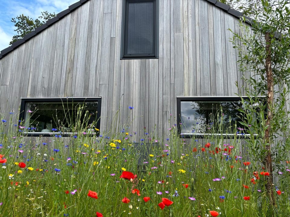 Bij De Kei Appelscha House in Drenthe (province)
