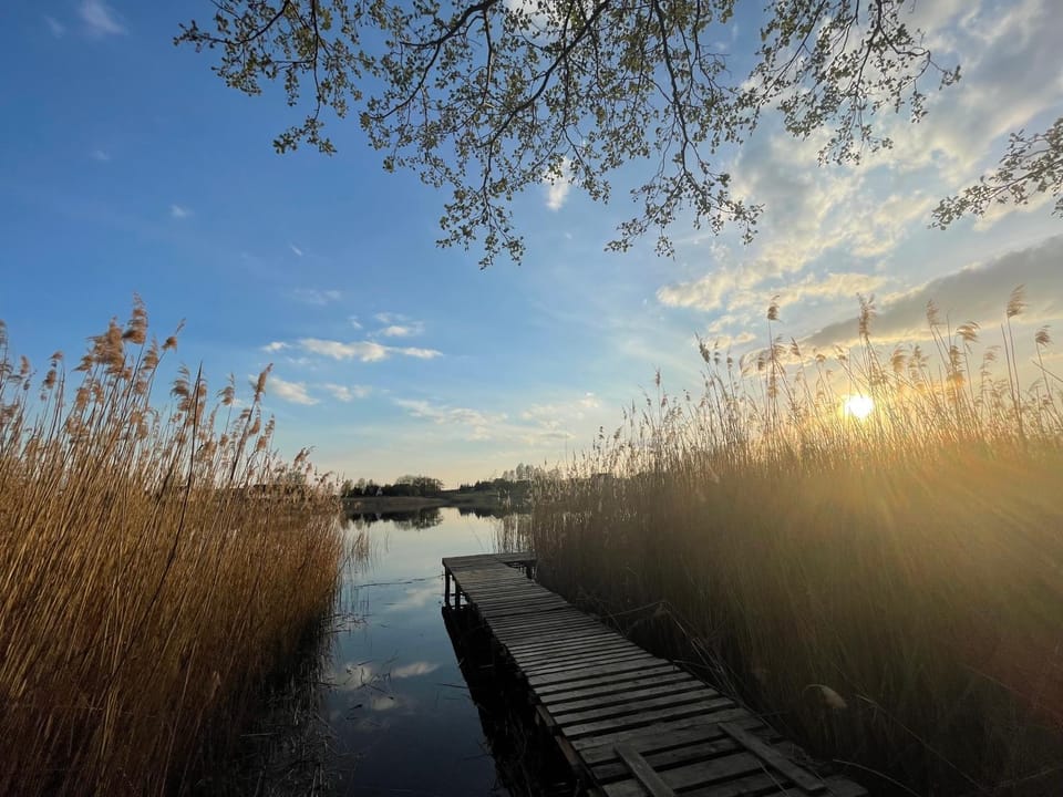 Lake view