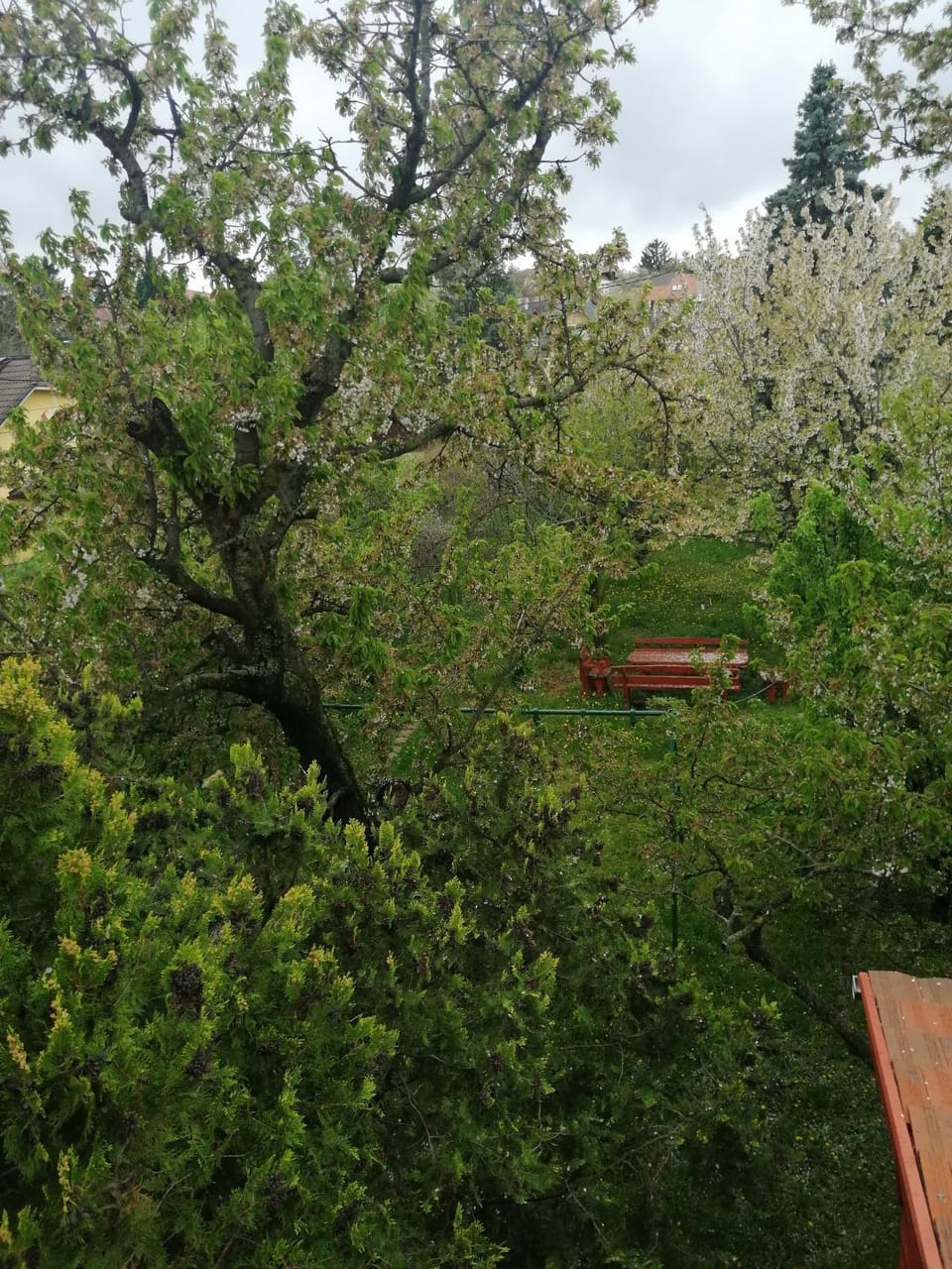Garden view