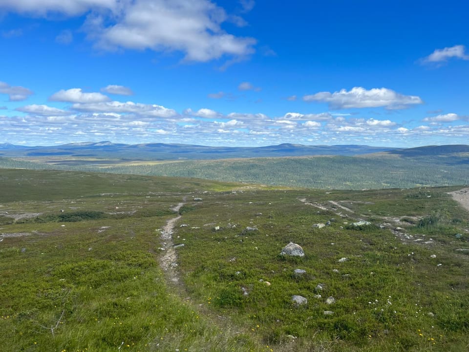 Natural landscape