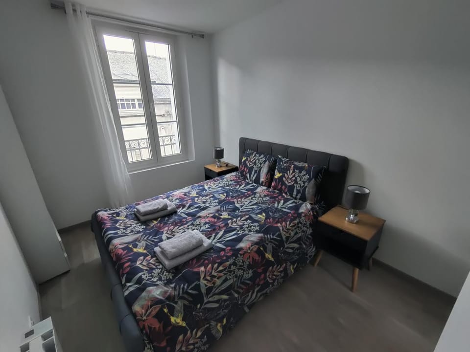 Appartement T3 PLUME Hyper centre d'ERNÉE Apartment in Pays de la Loire