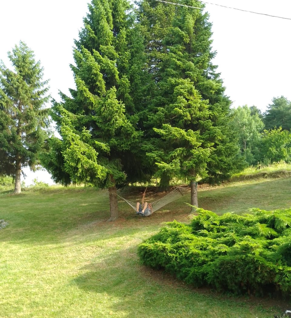 Apartmani Planinska kuća, Jagodnja Apartment in Serbia