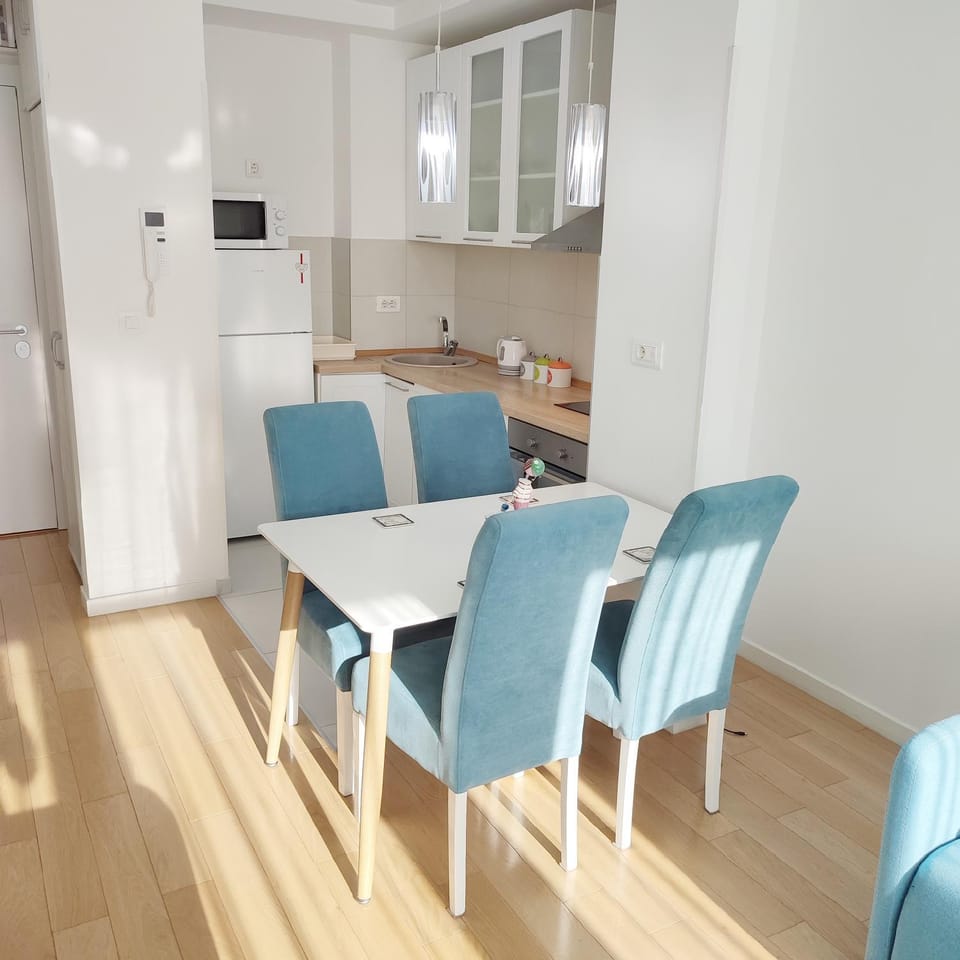 A BLOK1 NEW BELGRADE Apartment in Belgrade