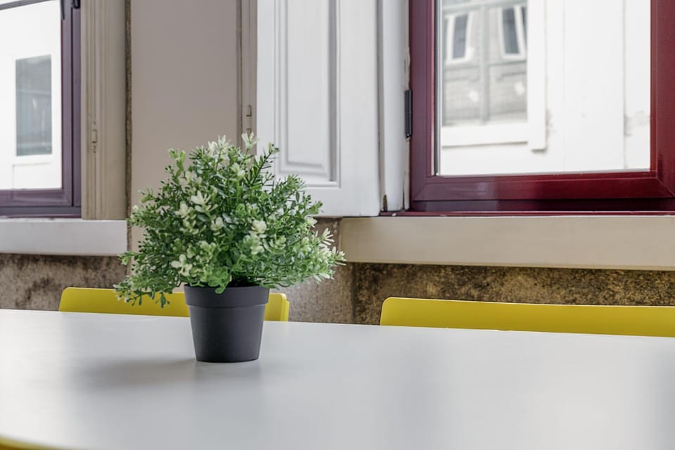 Travel & Live Alegria 248 Apartment in Porto