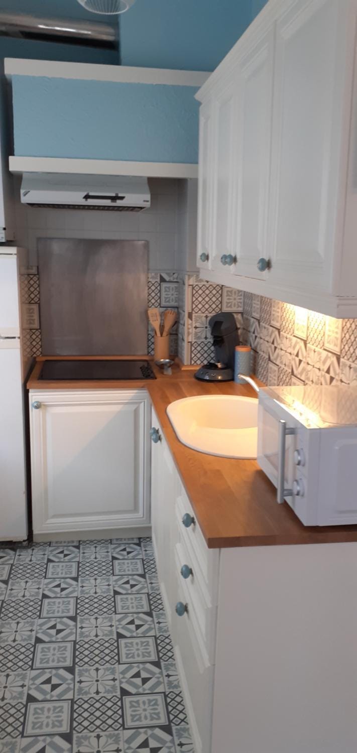 Kitchen or kitchenette, minibar, pet friendly, stove