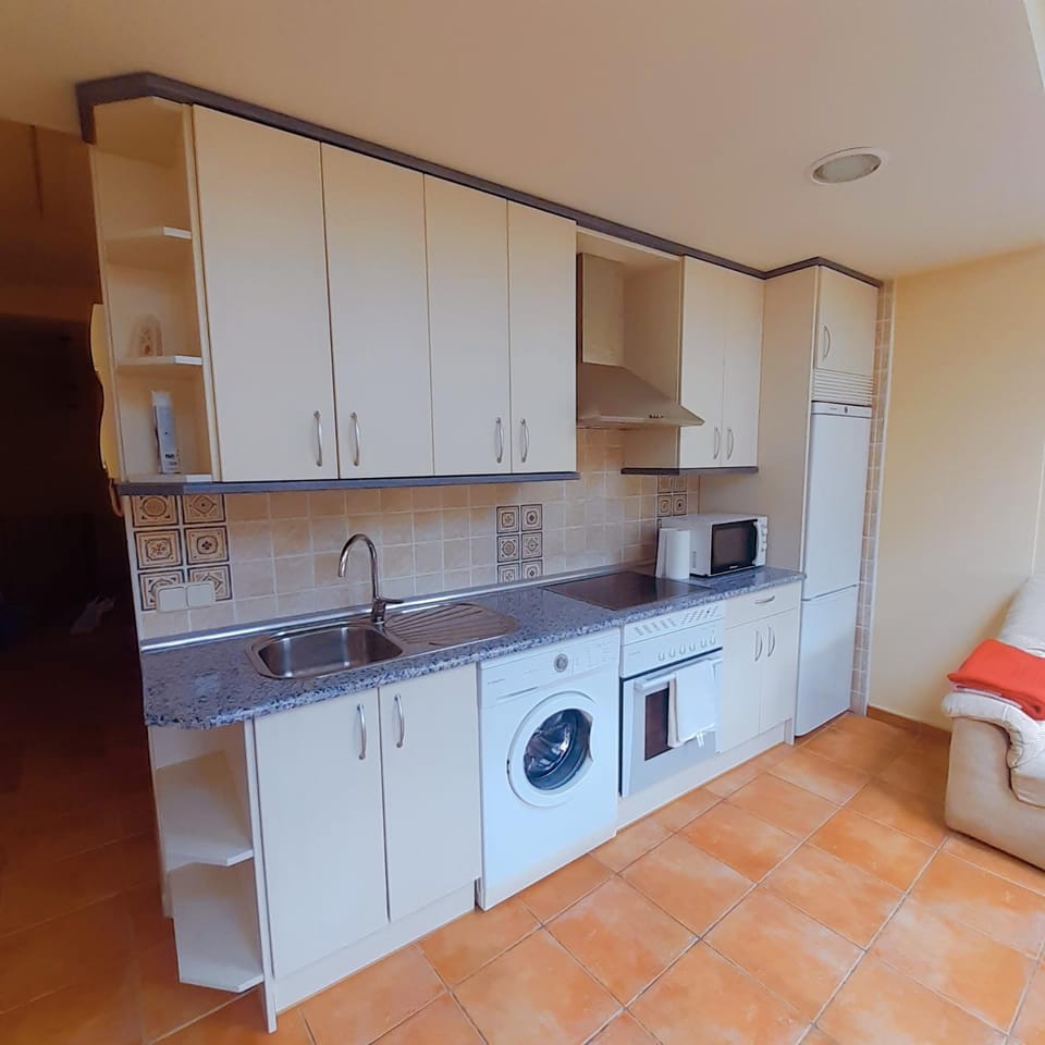 Kitchen or kitchenette, minibar, pet friendly, washing machine