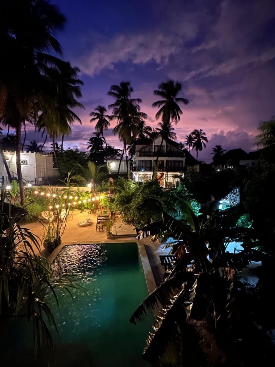 Night, Garden, Pool view, Swimming pool