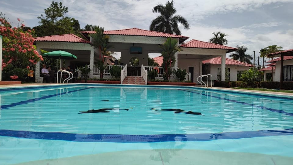 Swimming pool, Swimming pool