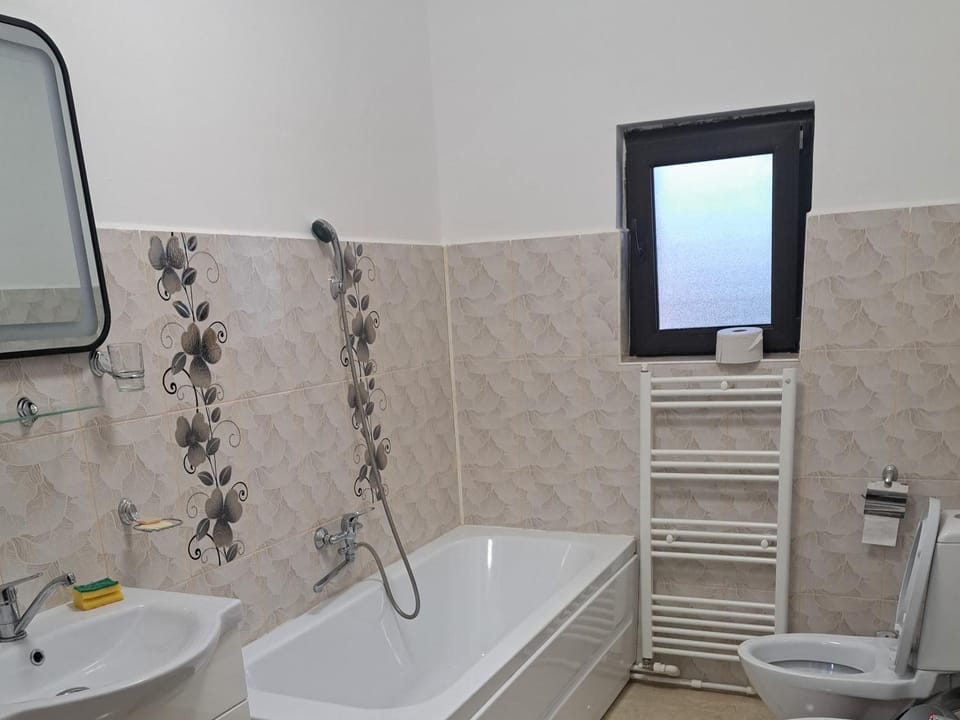 Apartament Teo Apartment in Romania