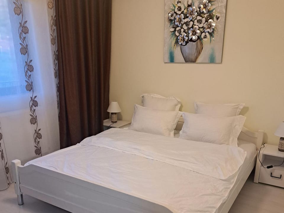 Apartament Teo Apartment in Romania