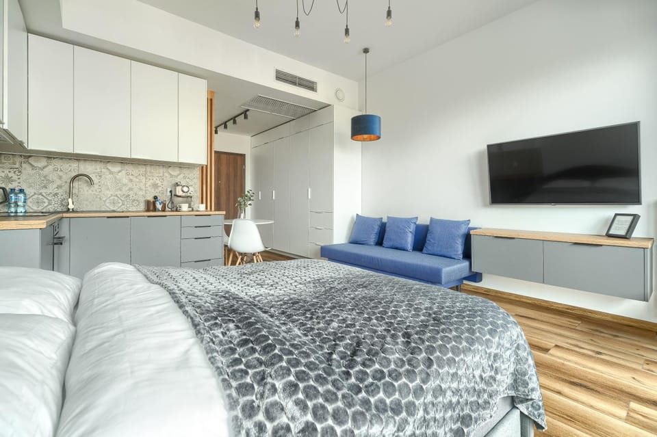 Bed, TV and multimedia, Kitchen or kitchenette, Living room, Photo of the whole room, Seating area, Bedroom