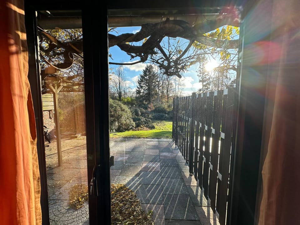 Spring, Day, Garden, Garden view