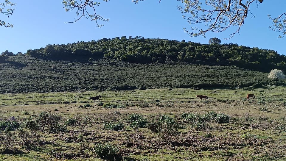 Sa domu 'eccia House in Sardinia