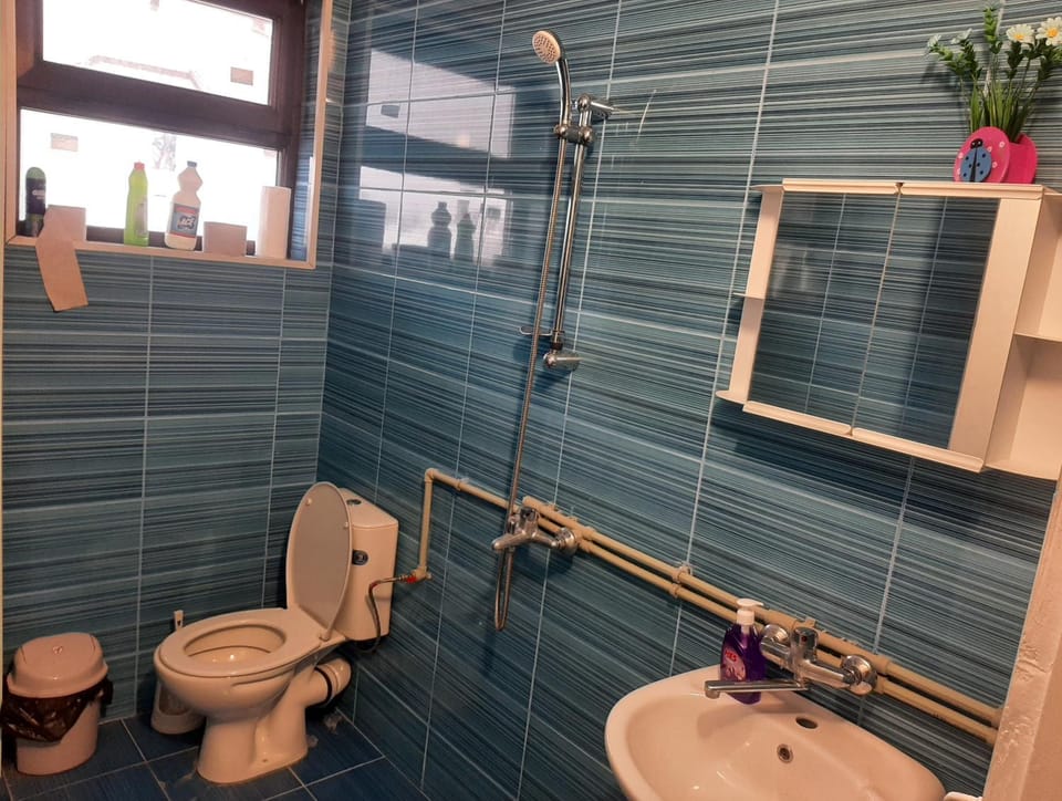 Shower, Toilet, Bathroom